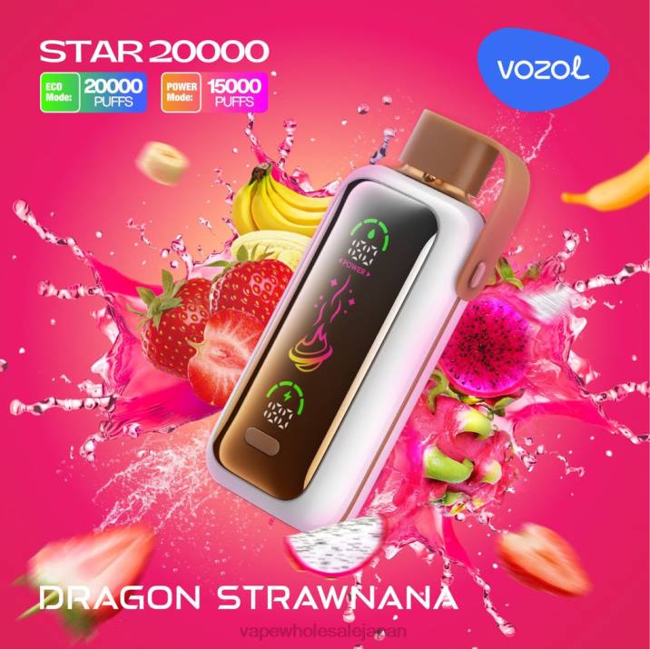 電子タバコ グロー | VOZOL STAR 20000 ドラゴン・ストナナ 2H8P8